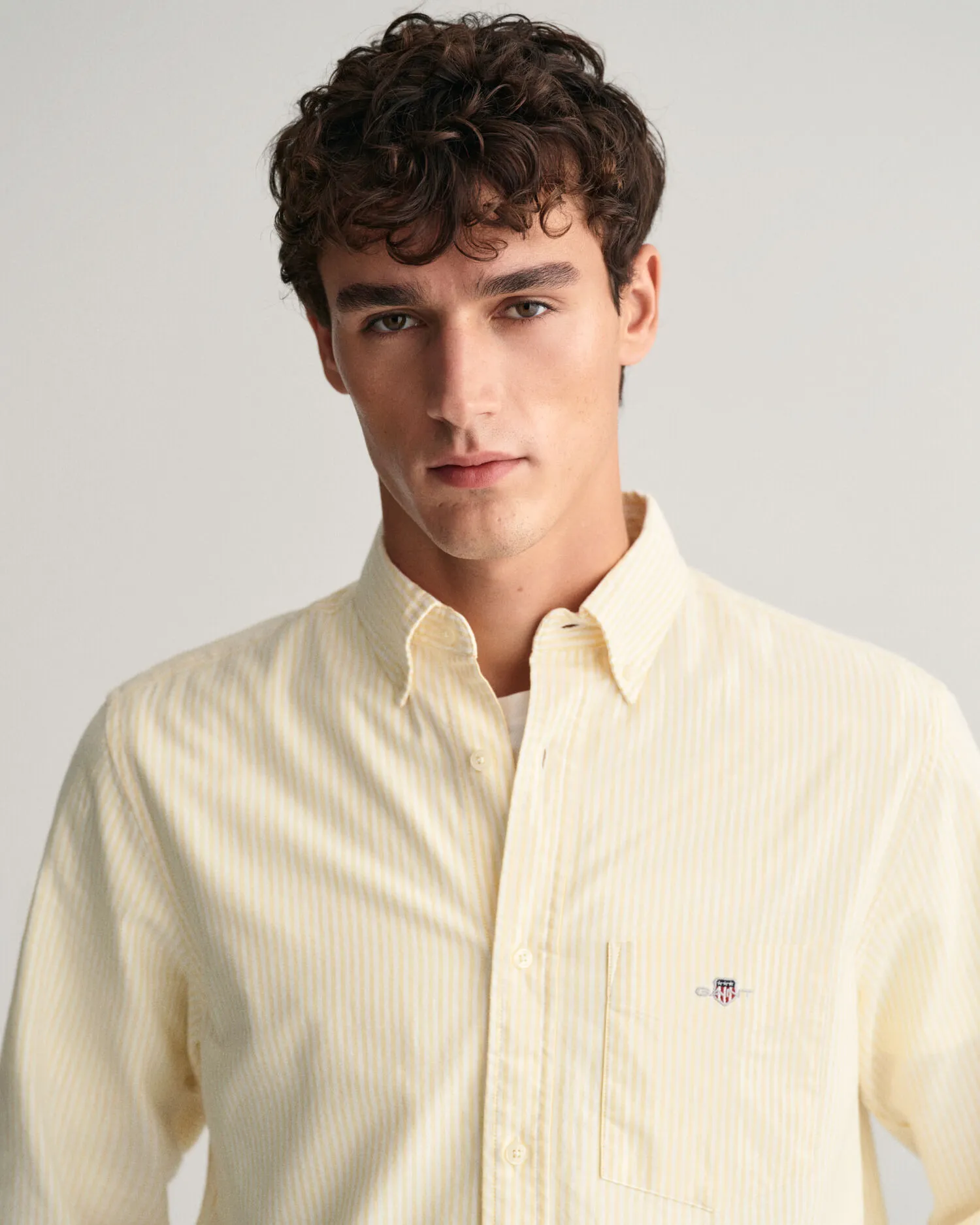 Camisa Oxford Regular Fit de rayas finas