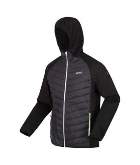 Chaqueta de Montaña Regatta Andreson VIII Hybrid Ash/Black Hombre