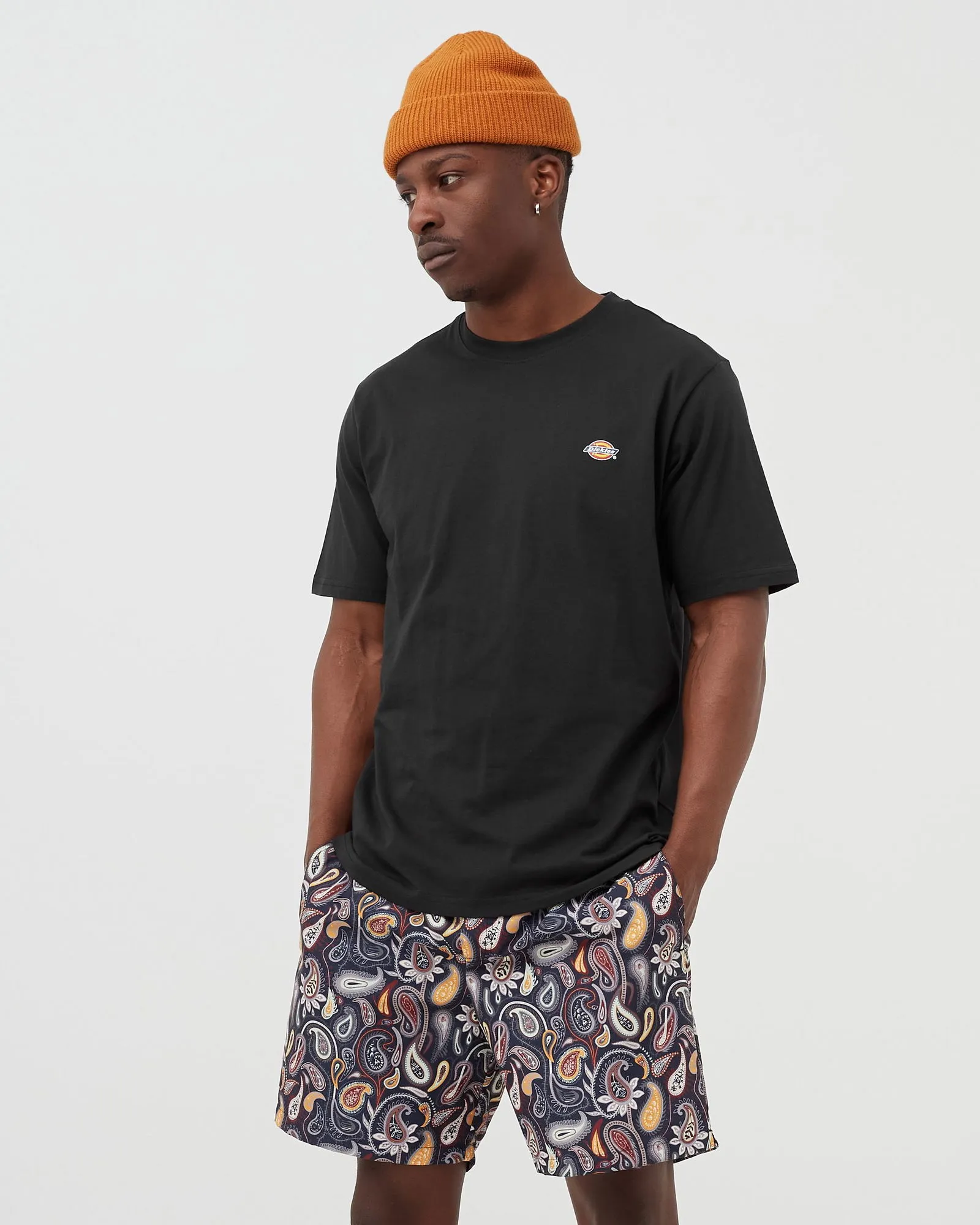 Dickies MAPLETON TEE