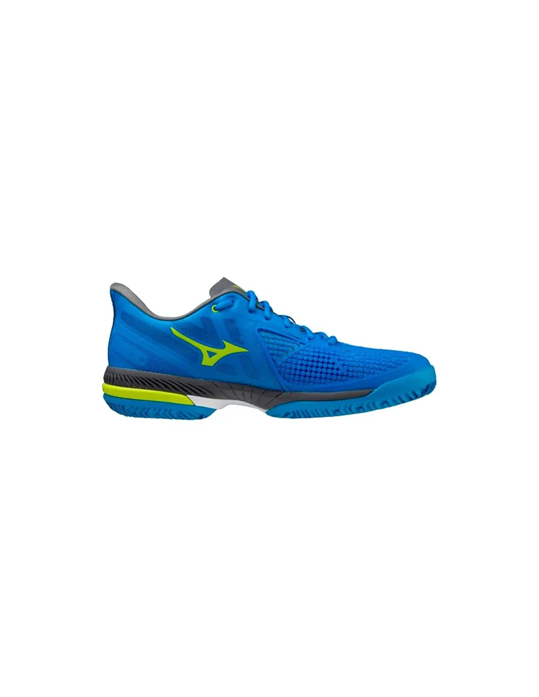 Zapatillas de Tenis Mizuno Wave Exceed Tour 5 CC Azul Hombre